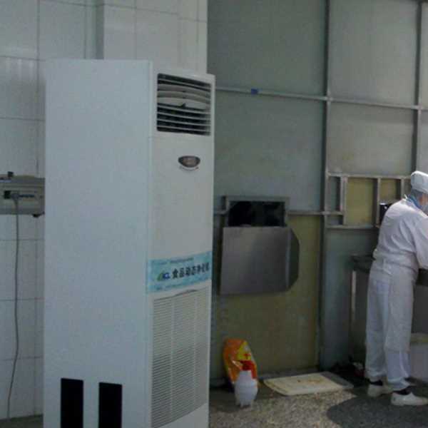 石嘴山食品正负离子空气杀菌器